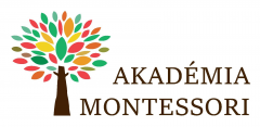 Akadémia Montessori